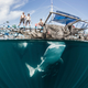 Image: Shawn Heinrichs